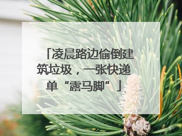 凌晨路边偷倒建筑垃圾，一张快递单“露马脚”