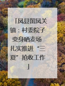 凤县留凤关镇：村委院子变身晒麦场 扎实推进“三夏”抢收工作