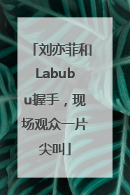 刘亦菲和Labubu握手，现场观众一片尖叫
