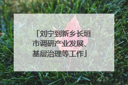 刘宁到新乡长垣市调研产业发展、基层治理等工作