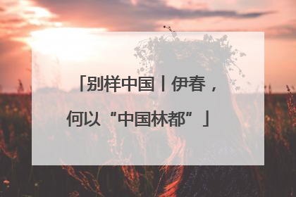 别样中国丨伊春，何以“中国林都”