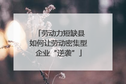 劳动力短缺县 如何让劳动密集型企业“逆袭”