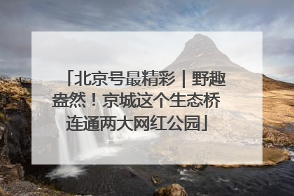 北京号最精彩｜野趣盎然！京城这个生态桥连通两大网红公园