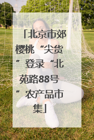 北京市郊樱桃“尖货”登录“北苑路88号”农产品市集
