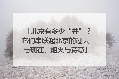 北京有多少“井”？它们串联起北京的过去与现在、烟火与诗意