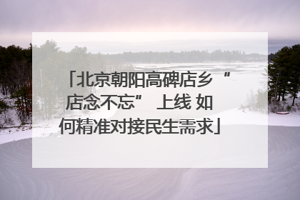 北京朝阳高碑店乡“店念不忘” 上线 如何精准对接民生需求