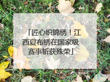 匠心织锦绣！江西夏布绣在国家级赛事斩获殊荣