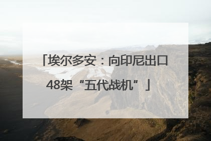 埃尔多安：向印尼出口48架“五代战机”