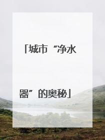 城市“净水器”的奥秘