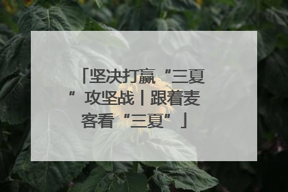 坚决打赢“三夏”攻坚战丨跟着麦客看“三夏”