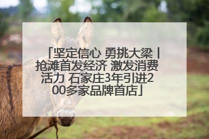 坚定信心 勇挑大梁丨抢滩首发经济 激发消费活力 石家庄3年引进200多家品牌首店