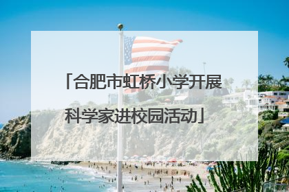 合肥市虹桥小学开展科学家进校园活动