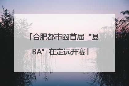 合肥都市圈首届“县BA”在定远开赛