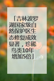 吉林波罗湖国家级自然保护区生态修复成效显著，珍稀鸟类10年增加5倍