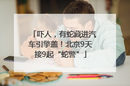 吓人，有蛇藏进汽车引擎盖！北京9天接9起“蛇警”