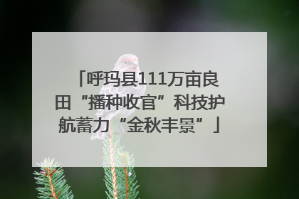 呼玛县111万亩良田“播种收官”科技护航蓄力“金秋丰景”