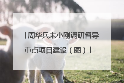 周华兵未小刚调研督导重点项目建设（图）