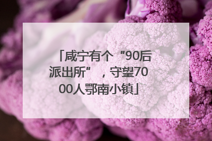 咸宁有个“90后派出所”，守望7000人鄂南小镇