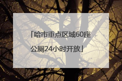 哈市重点区域60座公厕24小时开放