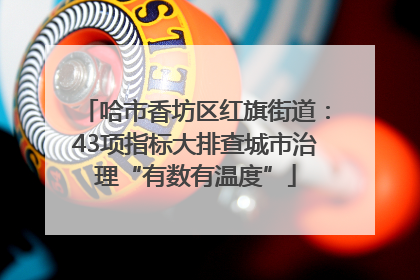 哈市香坊区红旗街道：43项指标大排查城市治理“有数有温度”