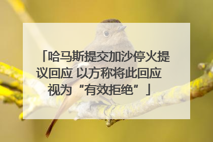 哈马斯提交加沙停火提议回应 以方称将此回应视为“有效拒绝”