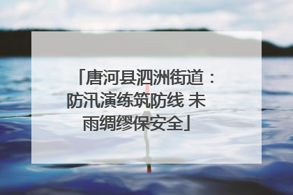 唐河县泗洲街道：防汛演练筑防线 未雨绸缪保安全