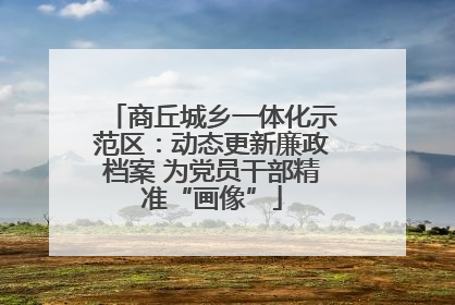 商丘城乡一体化示范区：动态更新廉政档案 为党员干部精准“画像”