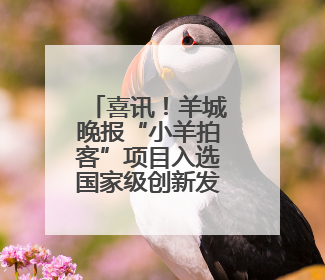 喜讯！羊城晚报“小羊拍客”项目入选国家级创新发展案例