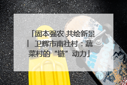 固本强农 共绘新景 ︳卫辉市南社村：蔬菜村的“链”动力