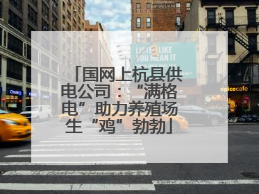 国网上杭县供电公司：“满格电”助力养殖场生“鸡”勃勃