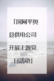国网平舆县供电公司开展主题党日活动