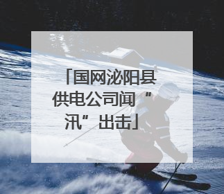 国网泌阳县供电公司闻“汛”出击