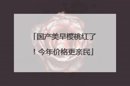 国产美早樱桃红了！今年价格更亲民