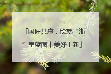 国匠共序，绘就“浙”里蓝图丨美好上新