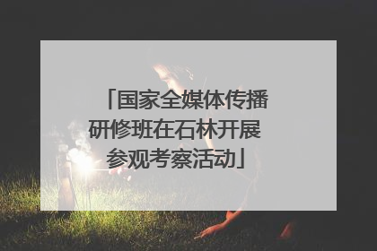 国家全媒体传播研修班在石林开展参观考察活动