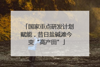国家重点研发计划赋能，昔日盐碱滩今变“高产田”