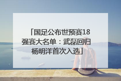 国足公布世预赛18强赛大名单：武磊回归 杨明洋首次入选