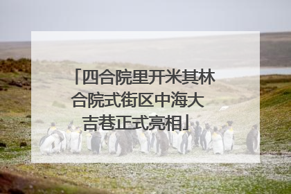 四合院里开米其林 合院式街区中海大吉巷正式亮相