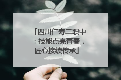 四川仁寿二职中：技能点亮青春，匠心接续传承