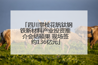 四川攀枝花钒钛钢铁新材料产业投资推介会结硕果 现场签约136亿元