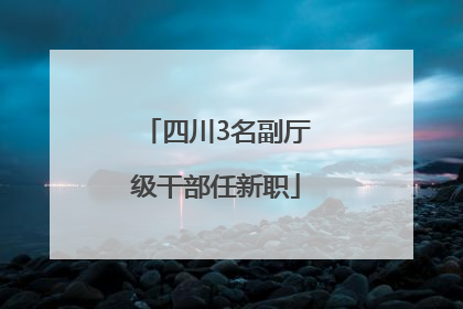 四川3名副厅级干部任新职