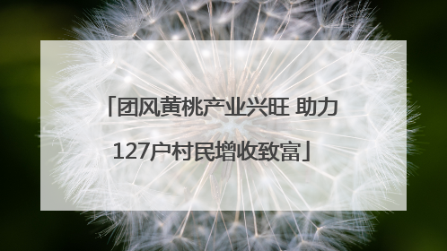 团风黄桃产业兴旺 助力127户村民增收致富