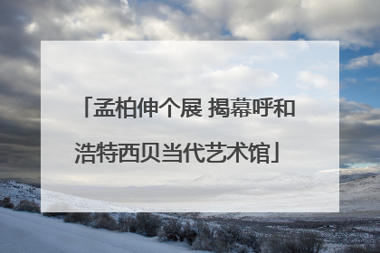 孟柏伸个展 揭幕呼和浩特西贝当代艺术馆
