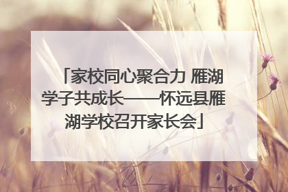 家校同心聚合力 雁湖学子共成长——怀远县雁湖学校召开家长会