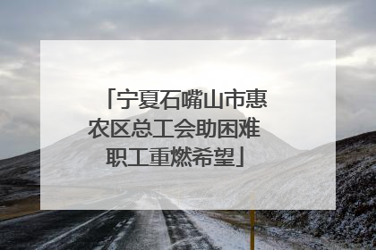 宁夏石嘴山市惠农区总工会助困难职工重燃希望