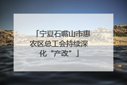 宁夏石嘴山市惠农区总工会持续深化“产改”