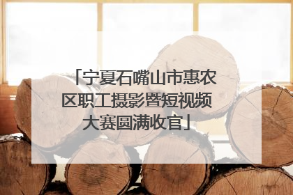 宁夏石嘴山市惠农区职工摄影暨短视频大赛圆满收官