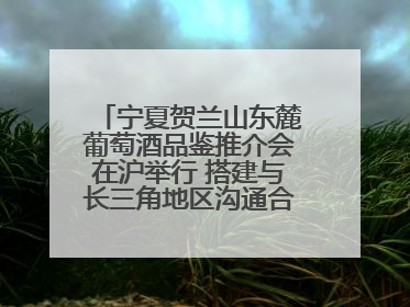 宁夏贺兰山东麓葡萄酒品鉴推介会在沪举行 搭建与长三角地区沟通合作的桥梁