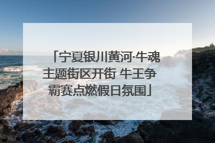 宁夏银川黄河·牛魂主题街区开街 牛王争霸赛点燃假日氛围