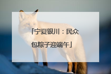 宁夏银川：民众包粽子迎端午